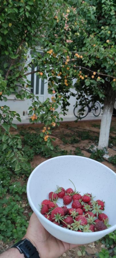 Zante Summer Retreats - Marietta'S Apartment2 Drosia Kypseli Ngoại thất bức ảnh