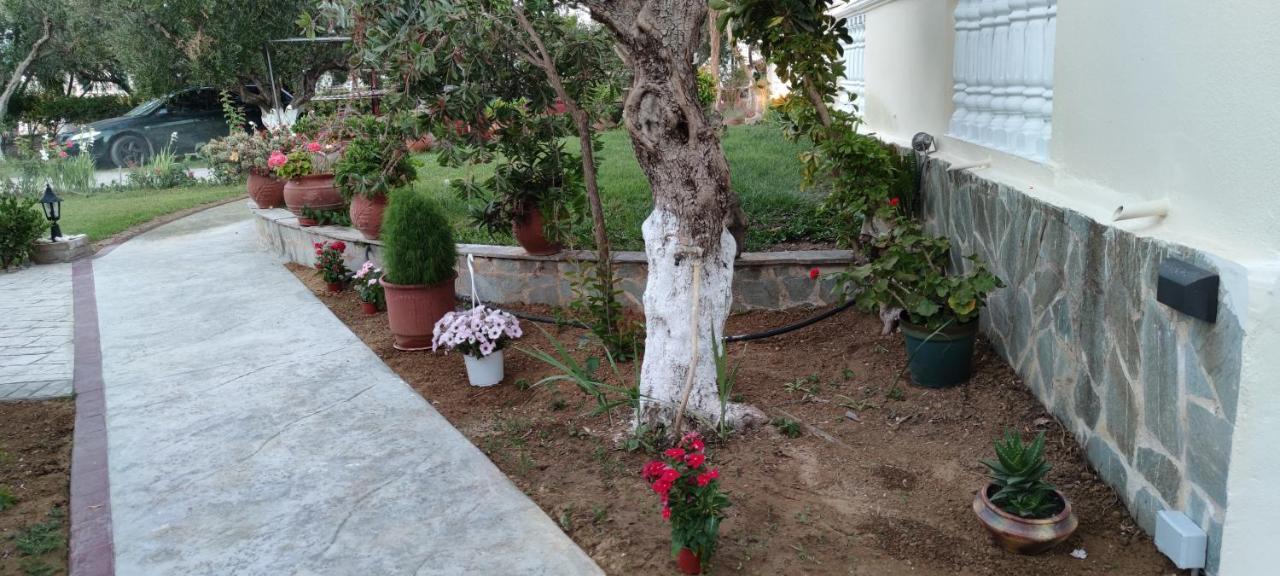 Zante Summer Retreats - Marietta'S Apartment2 Drosia Kypseli Ngoại thất bức ảnh