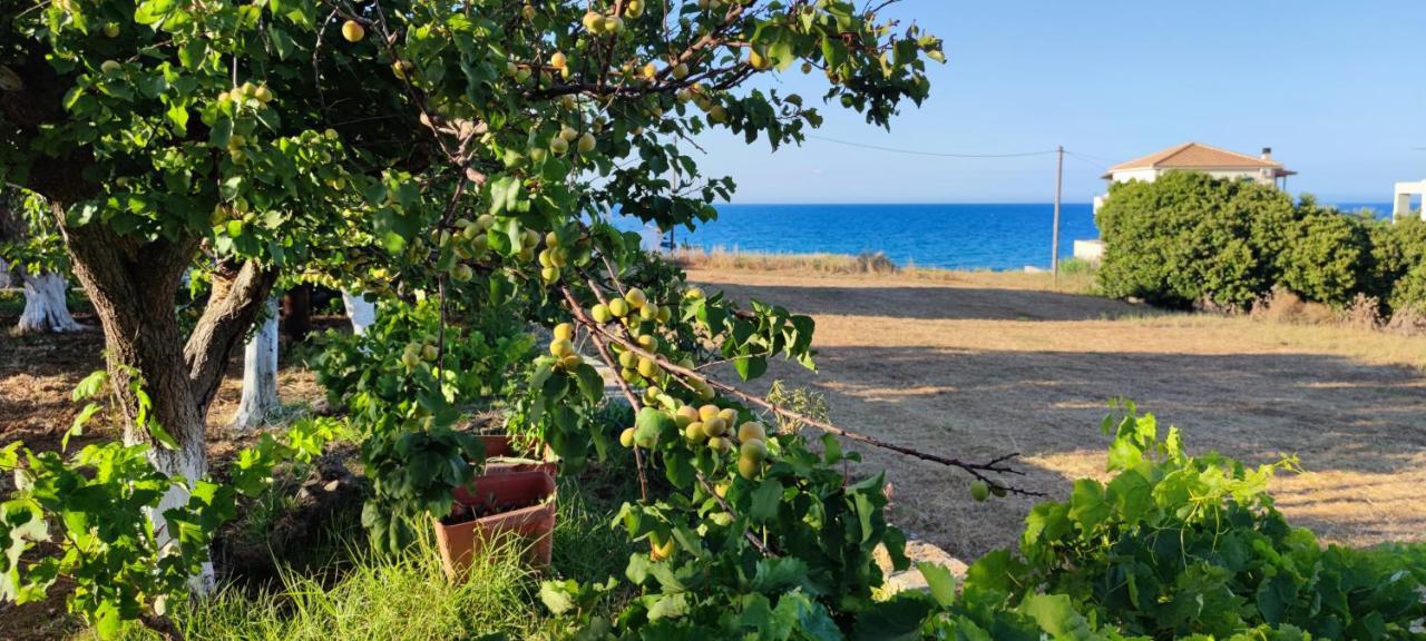 Zante Summer Retreats - Marietta'S Apartment2 Drosia Kypseli Ngoại thất bức ảnh