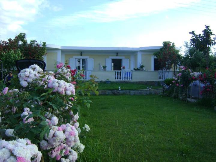 Zante Summer Retreats - Marietta'S Apartment2 Drosia Kypseli Ngoại thất bức ảnh