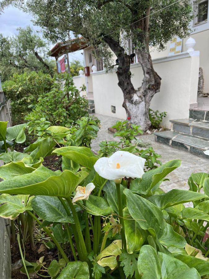 Zante Summer Retreats - Marietta'S Apartment2 Drosia Kypseli Ngoại thất bức ảnh